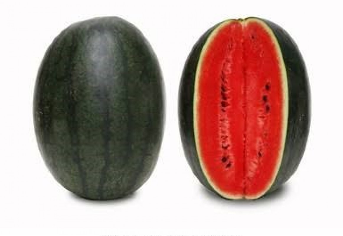 Watermelon from India